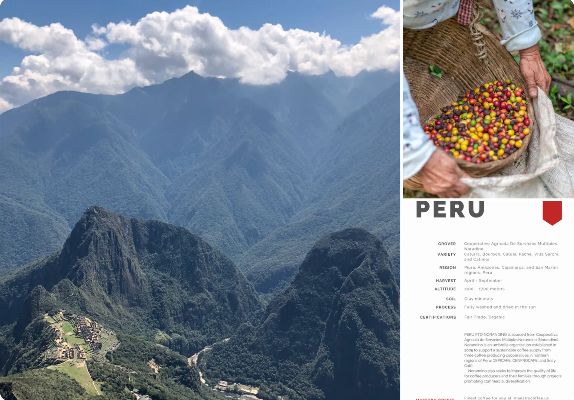 Peru    Organic     Coffee