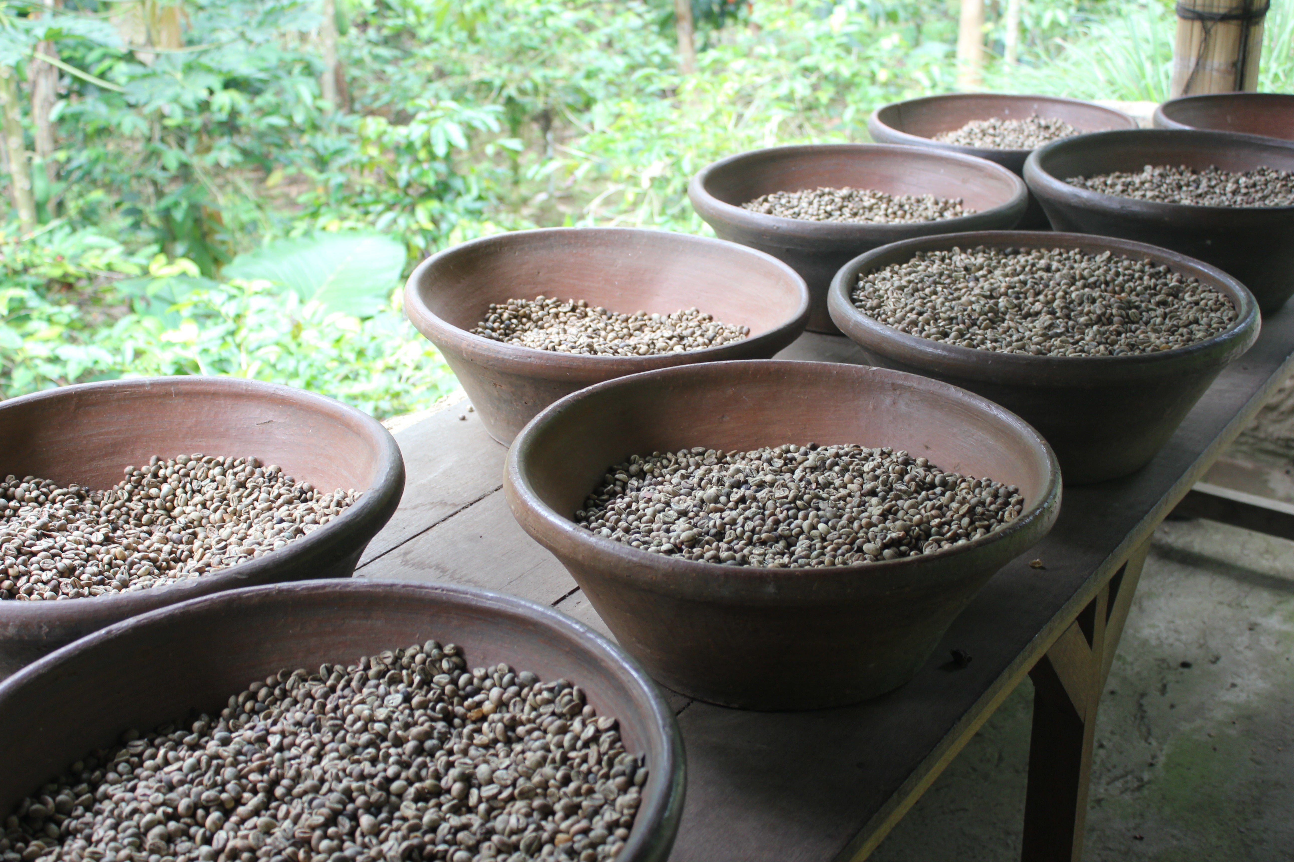 Ethiopia     Natural   Coffee